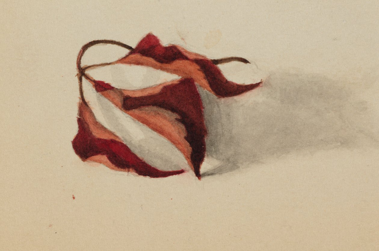  av Mary Vaux Walcott