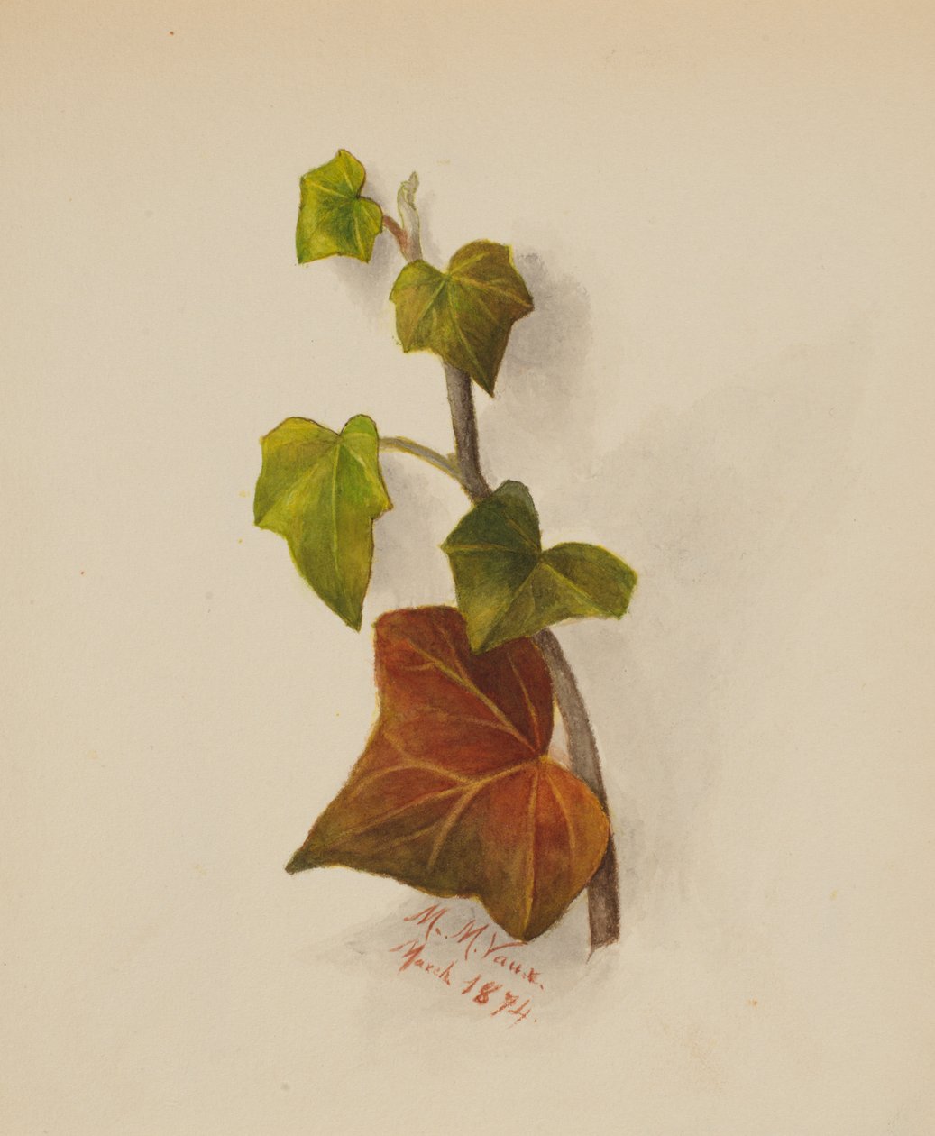  av Mary Vaux Walcott