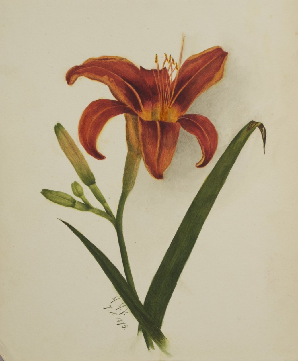  av Mary Vaux Walcott