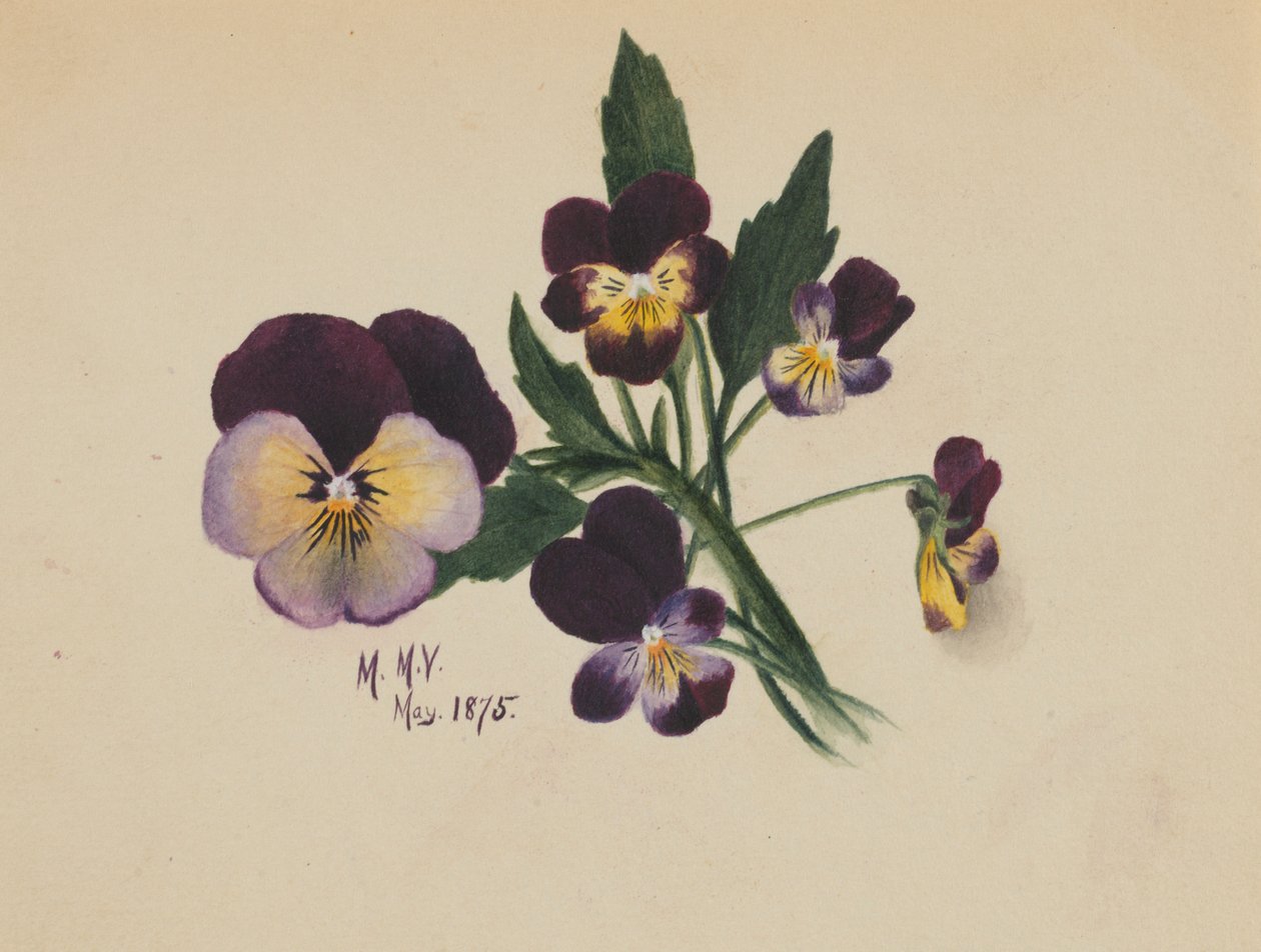  av Mary Vaux Walcott