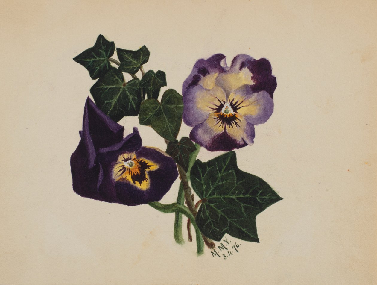  av Mary Vaux Walcott
