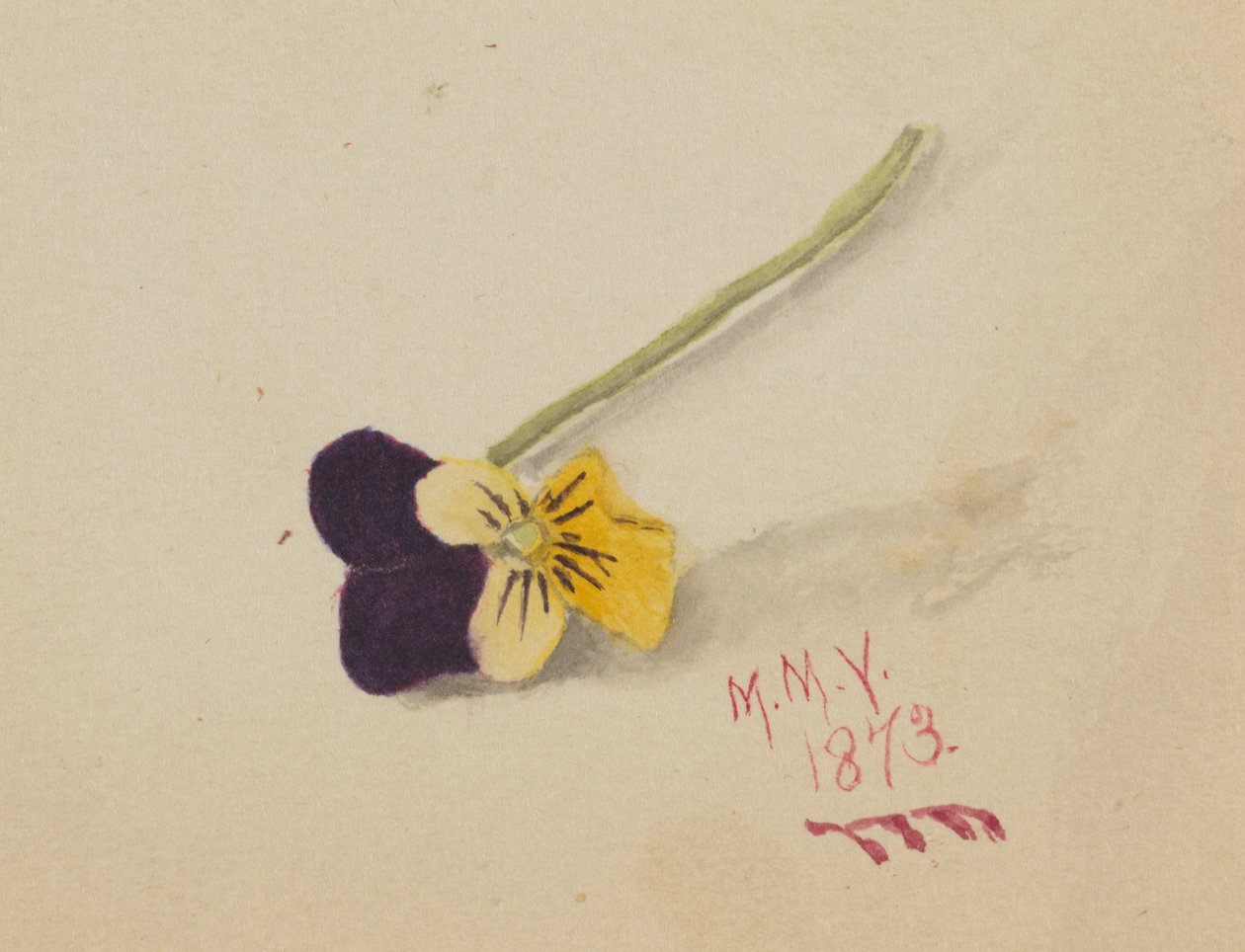  av Mary Vaux Walcott