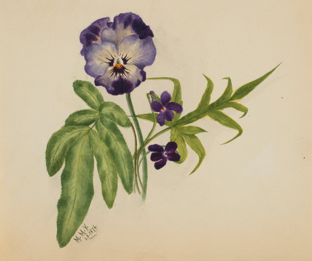  av Mary Vaux Walcott