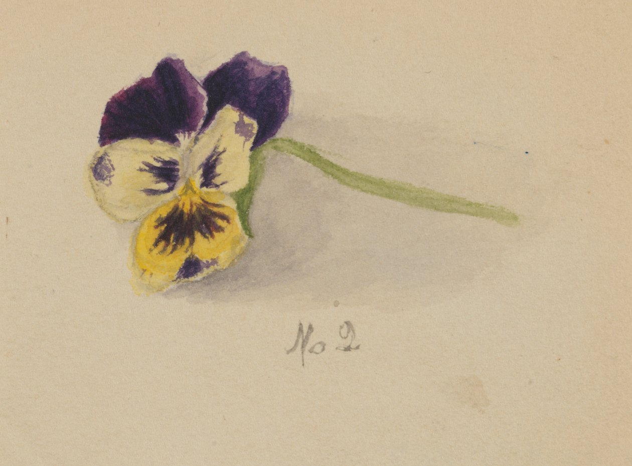  av Mary Vaux Walcott