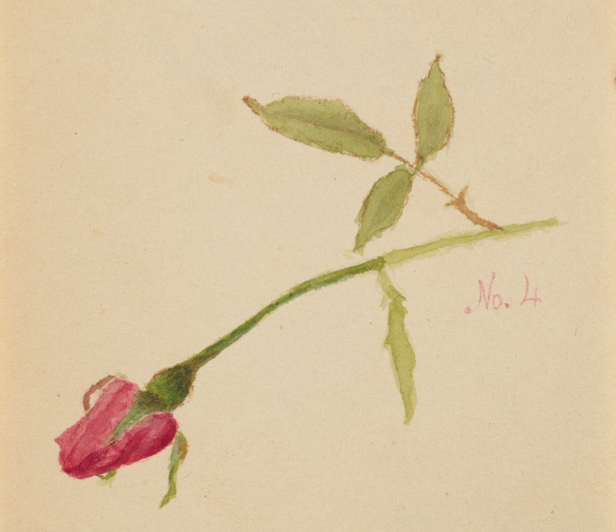  av Mary Vaux Walcott