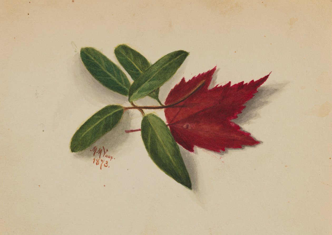  av Mary Vaux Walcott