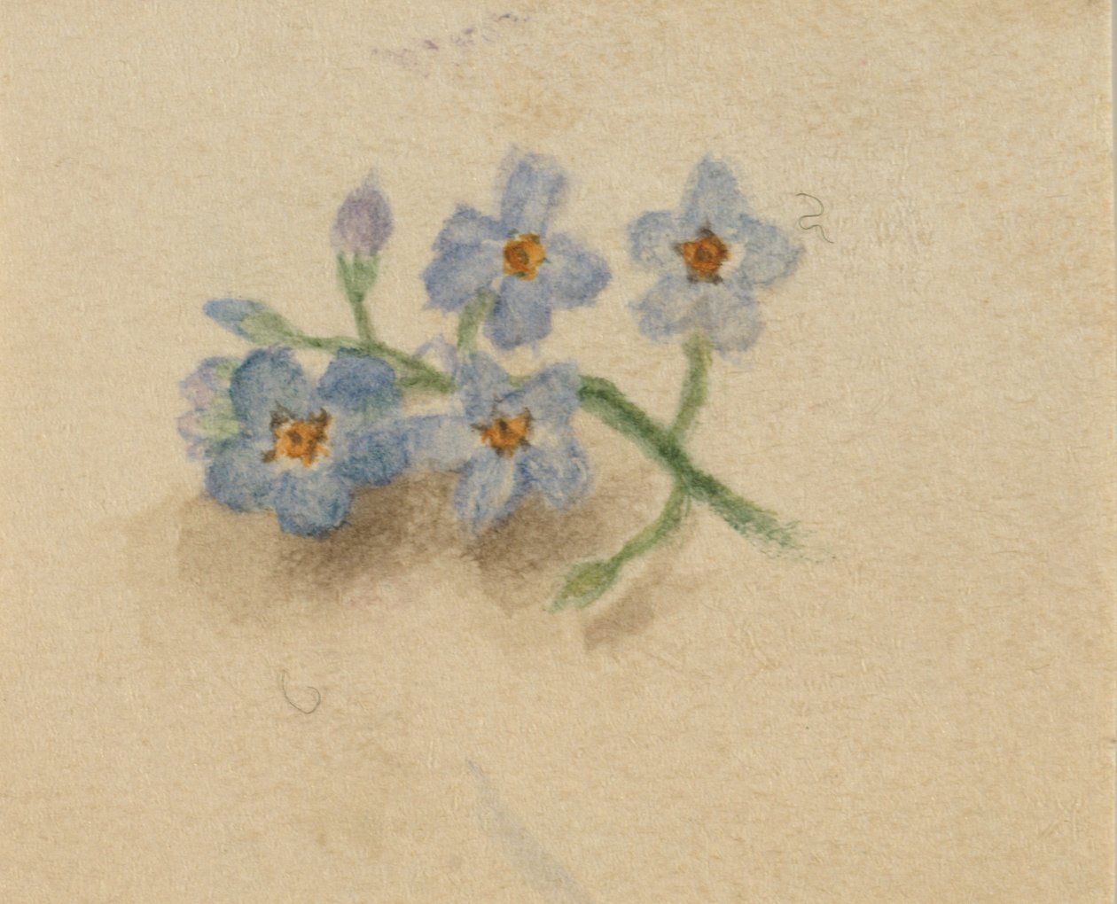 Uten tittel, 1874. av Mary Vaux Walcott