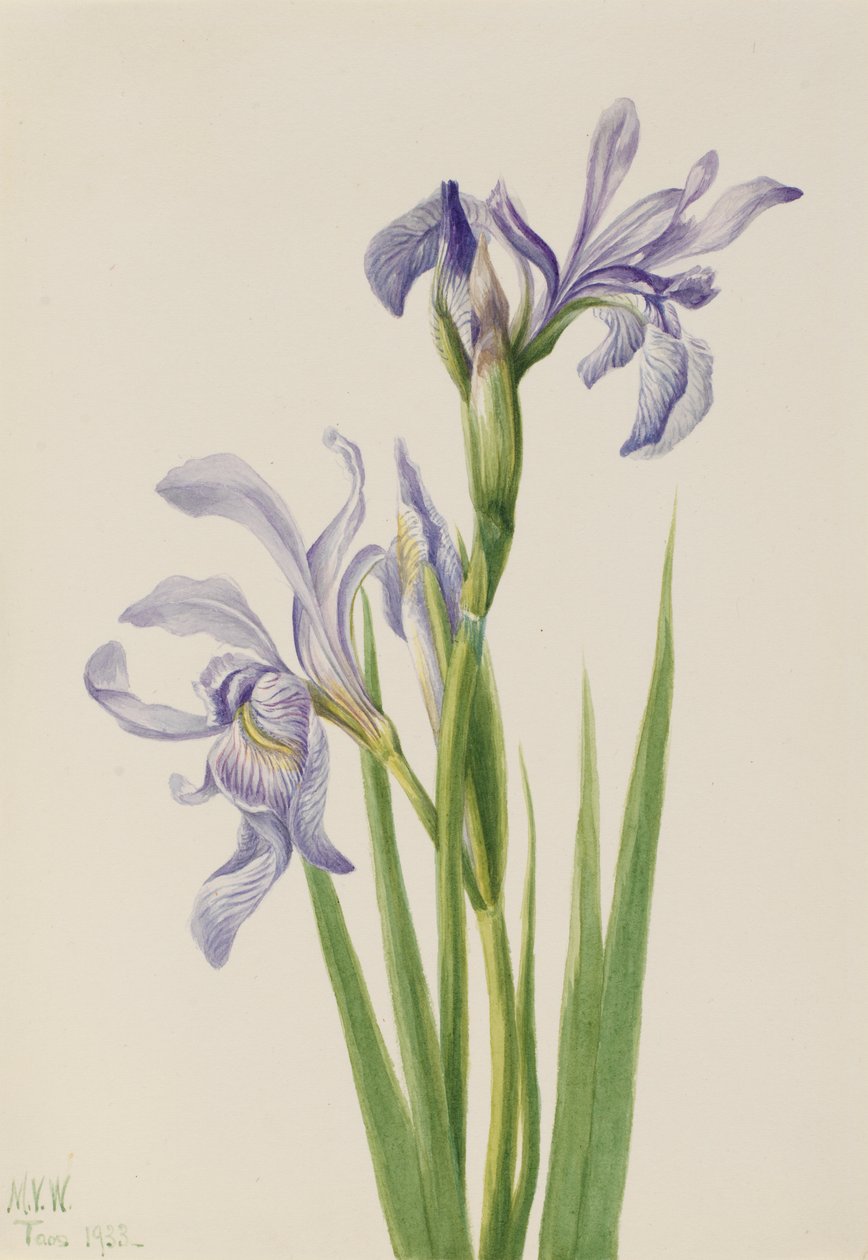  av Mary Vaux Walcott