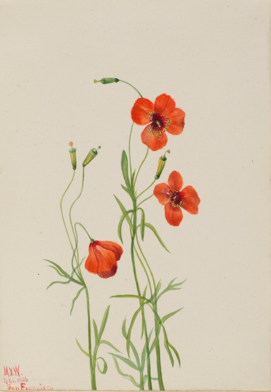  av Mary Vaux Walcott