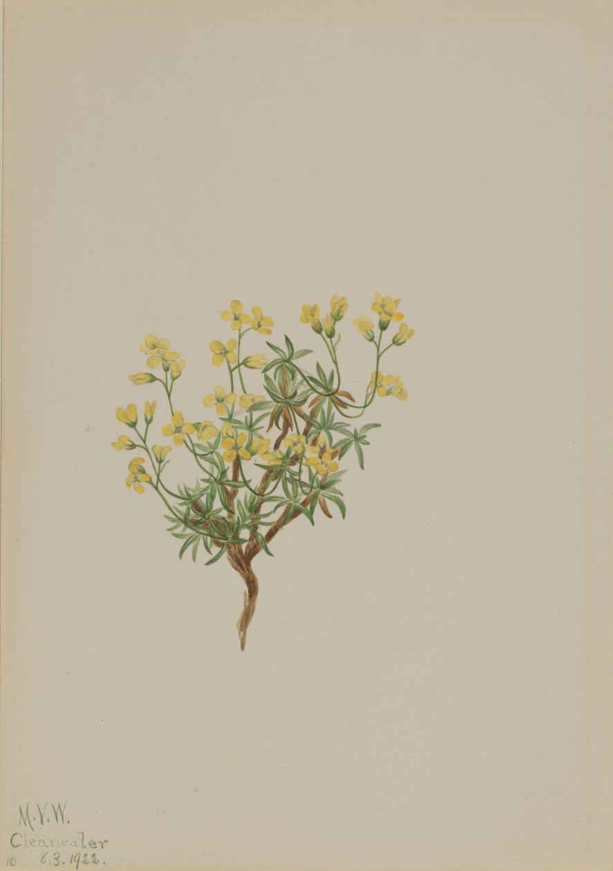  av Mary Vaux Walcott