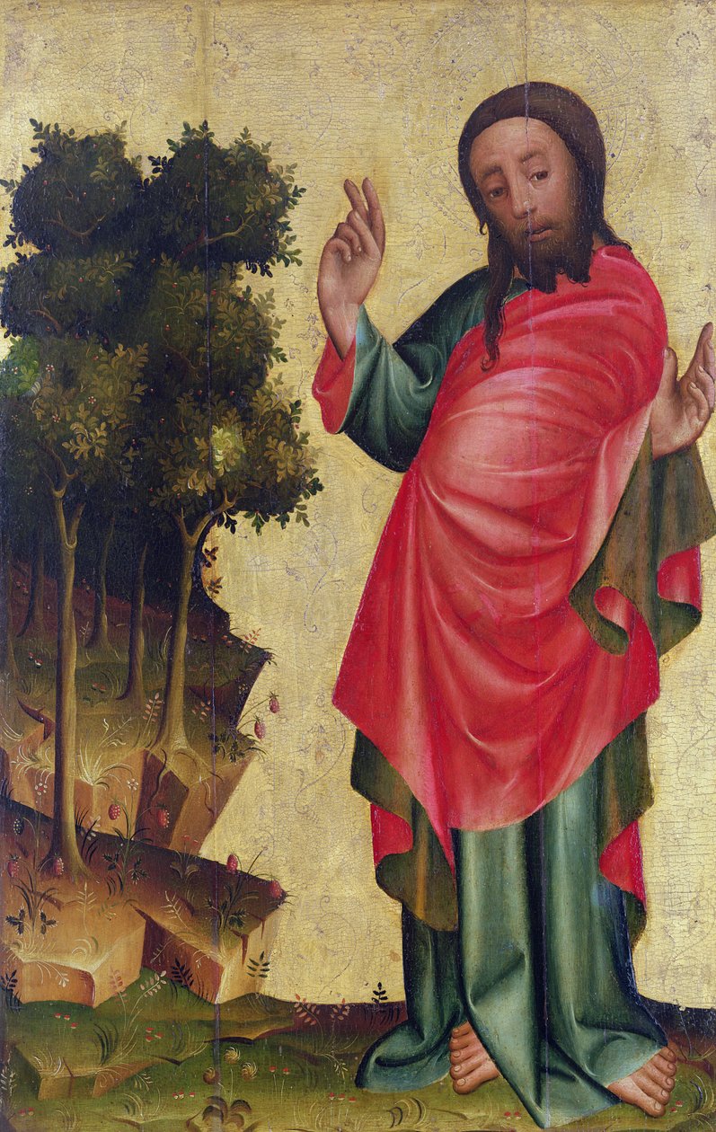 Skapelsen av tørt land og vegetasjon, detalj fra The Grabow Altarpiece, 1379-83 (tempera på panel) av Master Bertram of Minden
