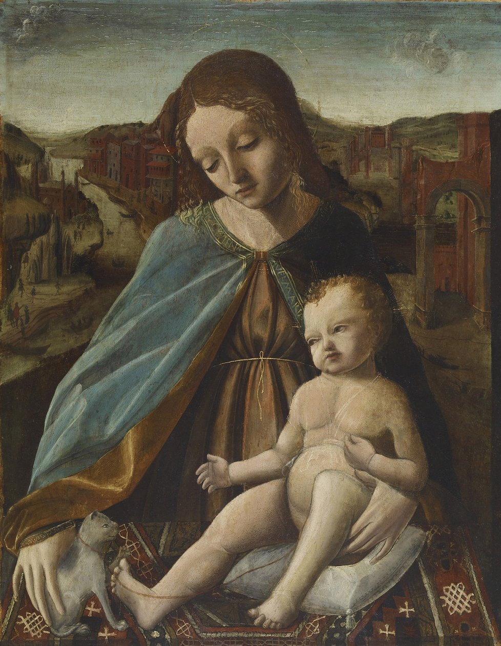 Madonna og barn med katt, 1485-95 av Master of the Pala Sforzesca