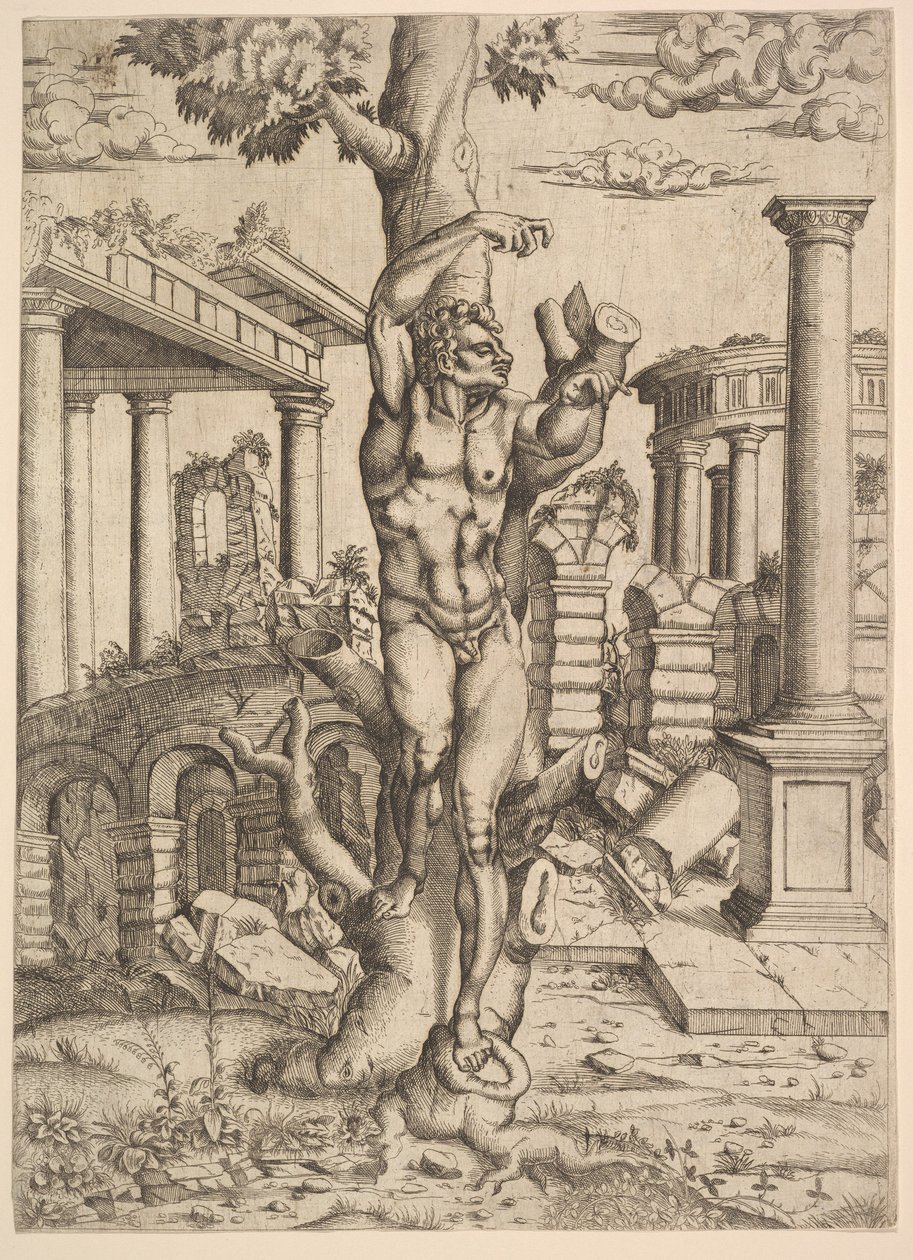Man Against a Tree, ca. 1543-44. av Master IQV