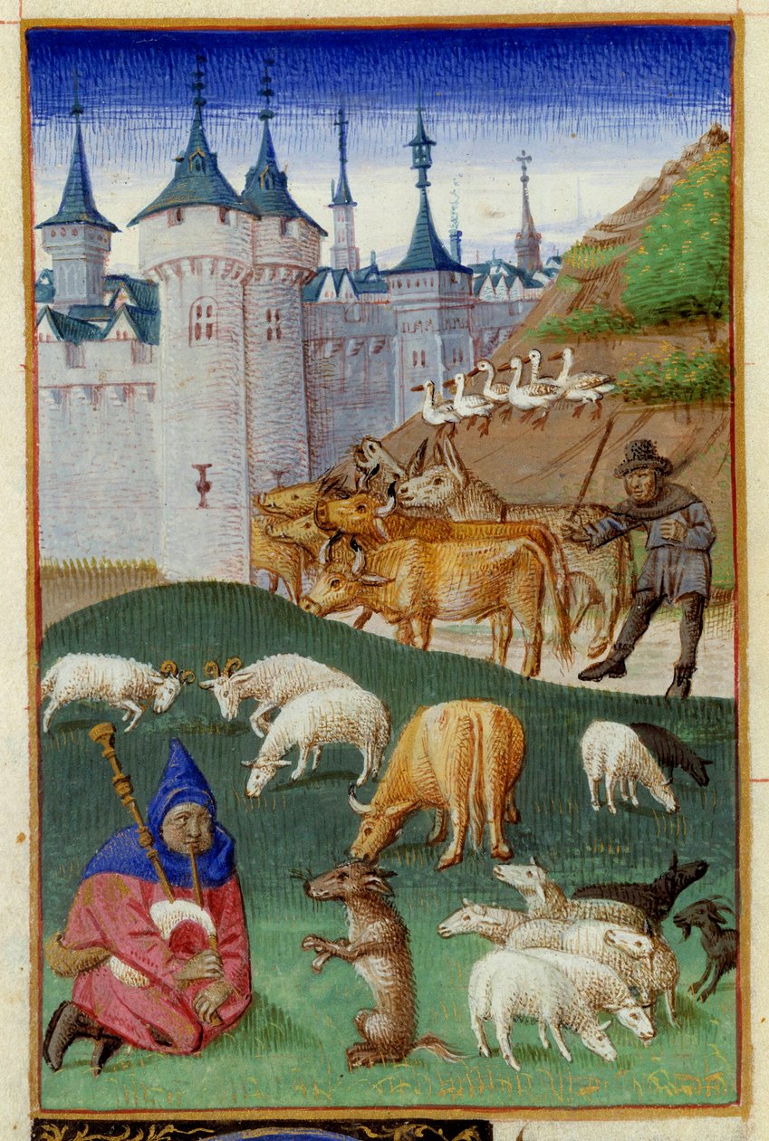 Gårdsdyr og sekkepipespillere Miniatyr hentet fra "The Rustican or Book of Country and Rural Profit" av Pietro de Crescenzi (Crescent Stone eller Crescens Stone) (1233-1320) opplyst av Mesteren av Boccace i Geneve kalt Colin d