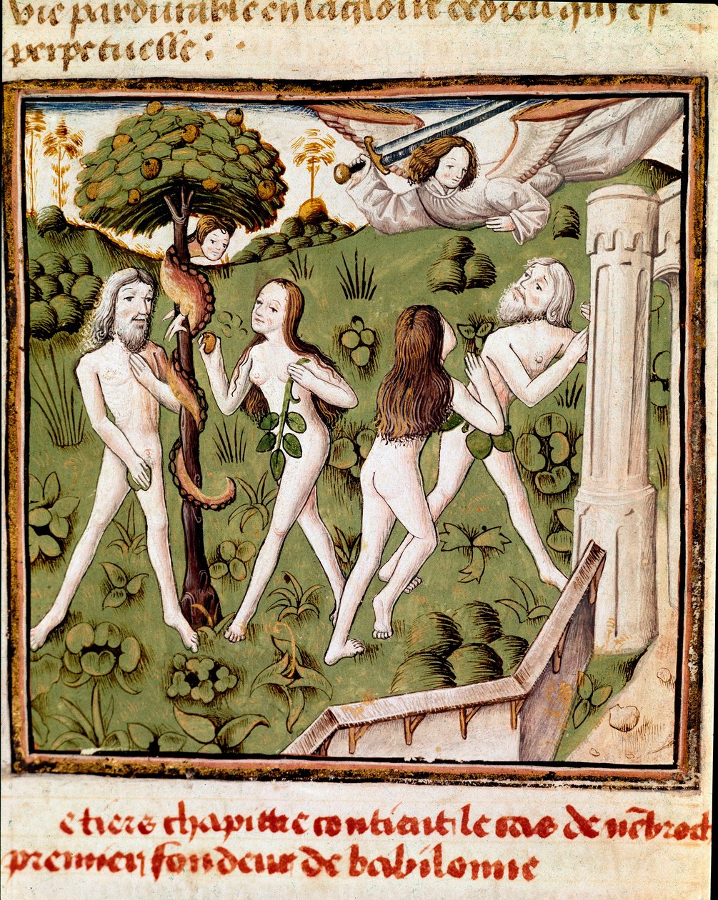 Adam og Eva plukker den forsvarte frukten Miniature of the Master of the Champion of Ladies (1400-tallet) fra manuskriptet "" Des hommes illustres"" av Giovanni Boccaccio (Jean Boccaccio) (1313-1375). 1400-tallet. Carpentras. Inguimbertine bibliotek av Master of the Champion des Dames