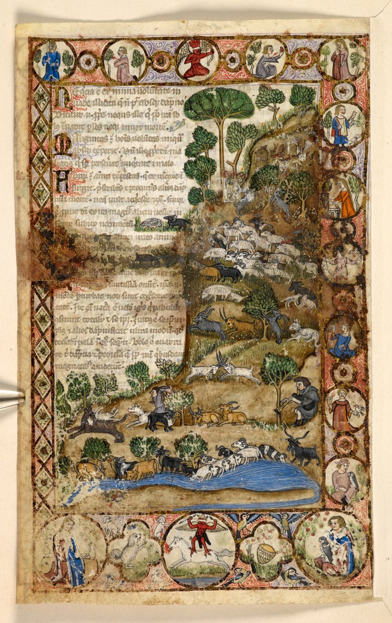 Legge til. 28841, f.1v: Geometriske helsideskanter av romboider, rundeller og quatrefoils bebodd av dyr og figurative scener: Hyrder som våker over sauer og geiter og kjemper mot ulver, en rød djevel som står på hesteryggen i grensen, fra en godbit av Master of the Cocharelli Codex