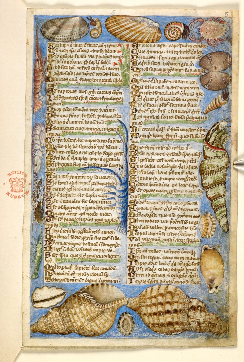 Legge til. 28841, f.5: Skjell og marine skapninger, fra en avhandling om dyder og laster, og en anonym prosahistorie på Sicilia (fragment), ca. 1330-40 (vellum) av Master of the Cocharelli Codex