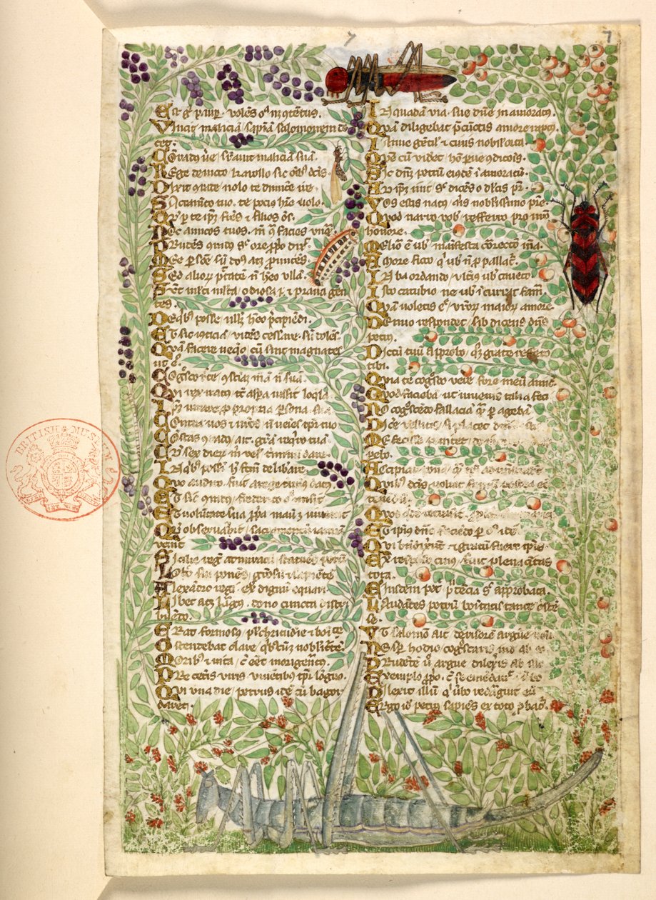 Legge til. 28841, f.7, Blomster, frukt og insekter, inkludert en gresshoppe og en gresshoppe, fra en avhandling om dyder og laster, og en anonym prosahistorie på Sicilia (fragment) av Master of the Cocharelli Codex