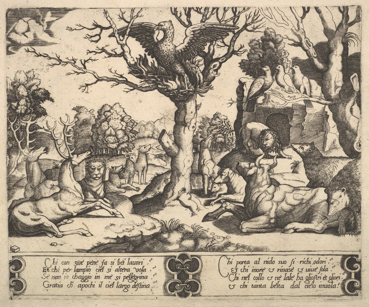 En føniks satt på toppen av et tre, åpne vinger, et utvalg av dyr under, 1530-60. av Master of the Die