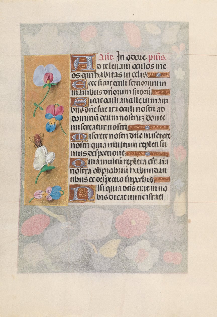 Hours of Queen Isabella the Catholic, Queen of Spain: Fol. 137v, ca. 1500. av Master of the First Prayerbook of Maximillian