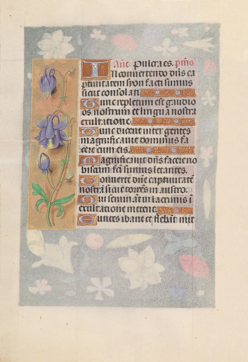 Hours of Queen Isabella the Catholic, Queen of Spain: Fol. 142v, ca. 1500. av Master of the First Prayerbook of Maximillian