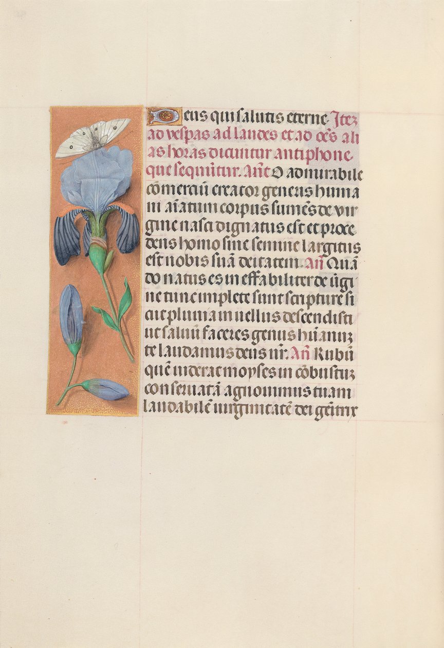 Hours of Queen Isabella the Catholic, Queen of Spain: Fol. 165v, ca. 1500. av Master of the First Prayerbook of Maximillian