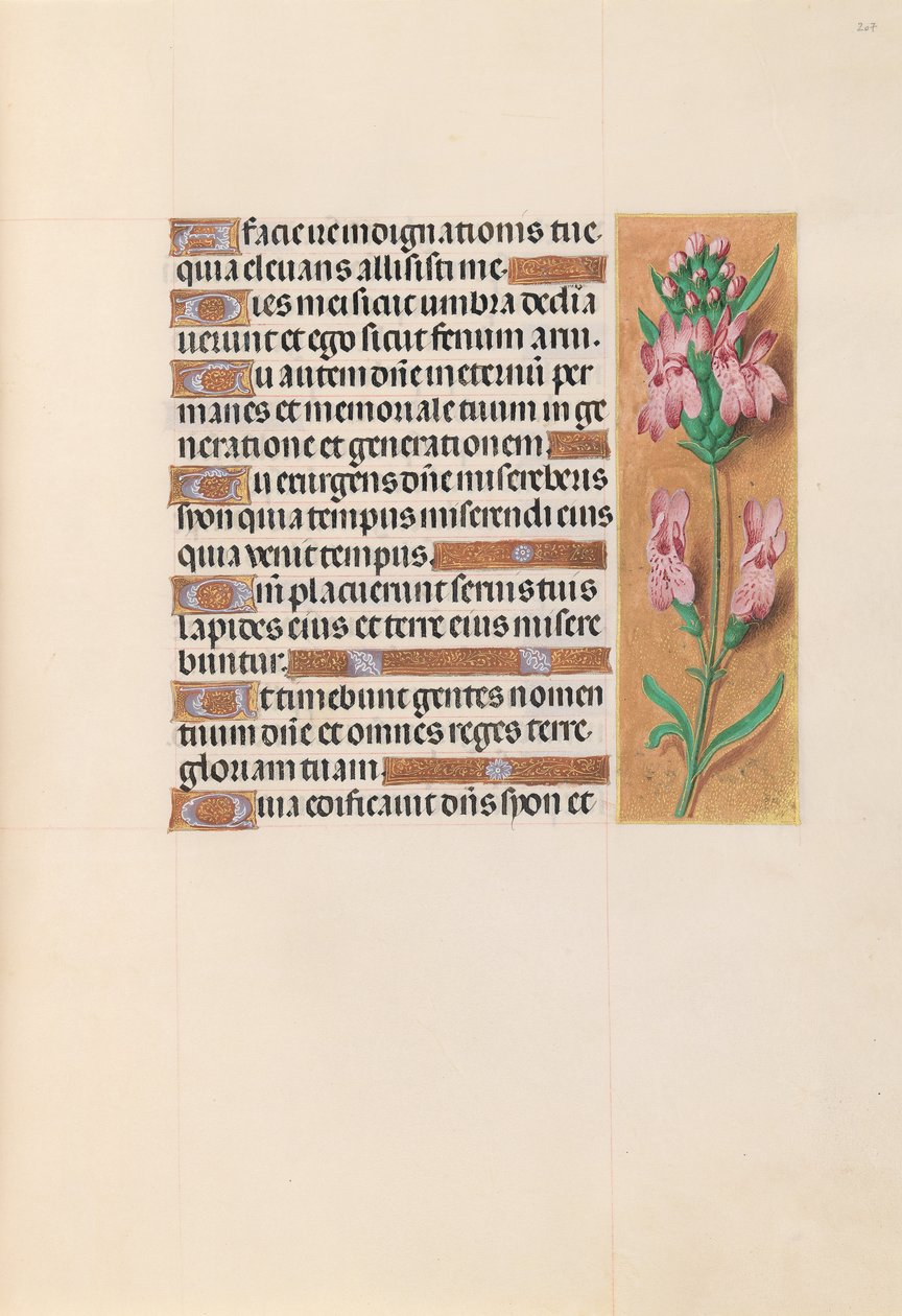 Hours of Queen Isabella the Catholic, Queen of Spain: Fol. 207r, ca. 1500. av Master of the First Prayerbook of Maximillian