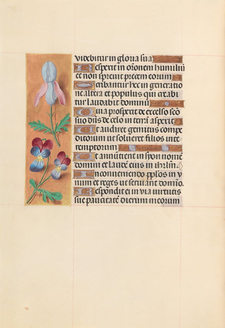 Hours of Queen Isabella the Catholic, Queen of Spain: Fol. 207v, ca. 1500. av Master of the First Prayerbook of Maximillian