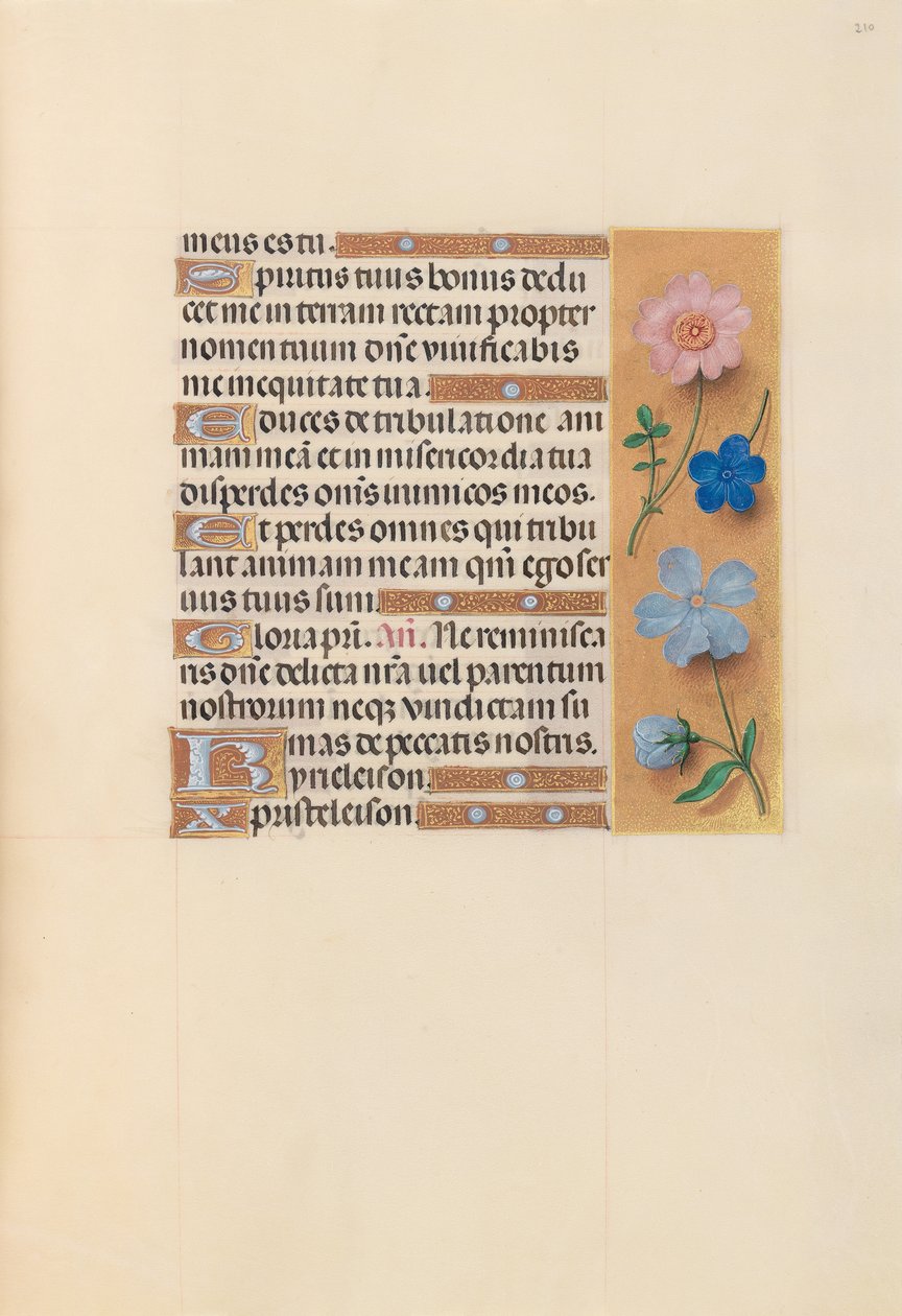 Hours of Queen Isabella the Catholic, Queen of Spain: Fol. 210r, ca. 1500. av Master of the First Prayerbook of Maximillian