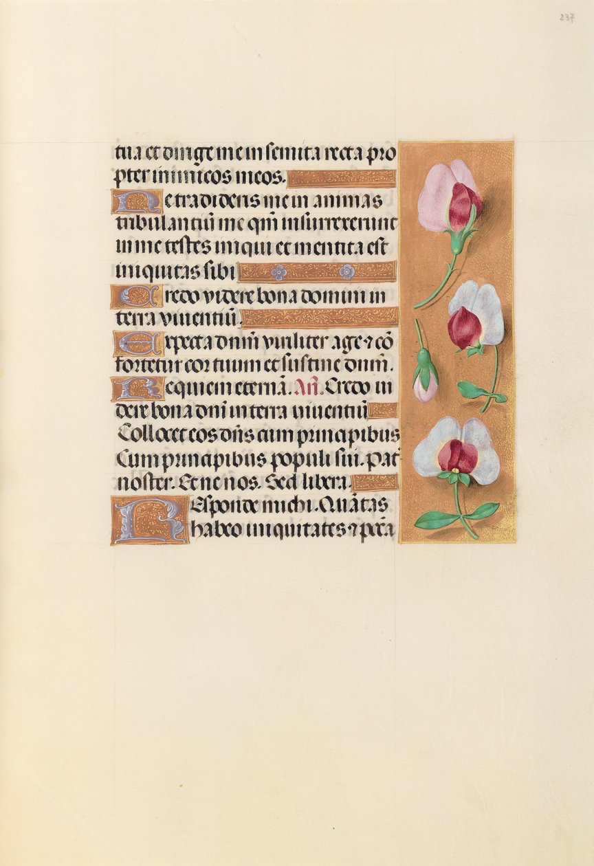Hours of Queen Isabella the Catholic, Queen of Spain: Fol. 237r, ca. 1500. av Master of the First Prayerbook of Maximillian