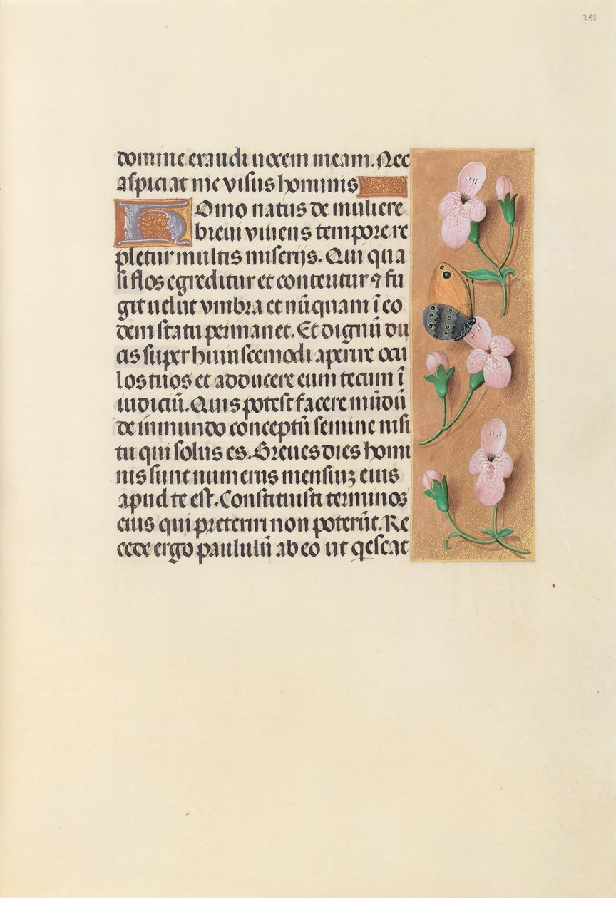 Hours of Queen Isabella the Catholic, Queen of Spain: Fol. 238r, ca. 1500. av Master of the First Prayerbook of Maximillian