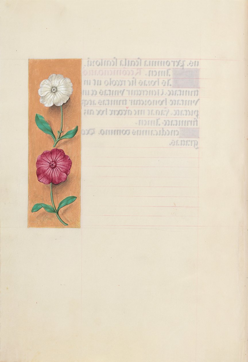  av Master of the First Prayerbook of Maximillian