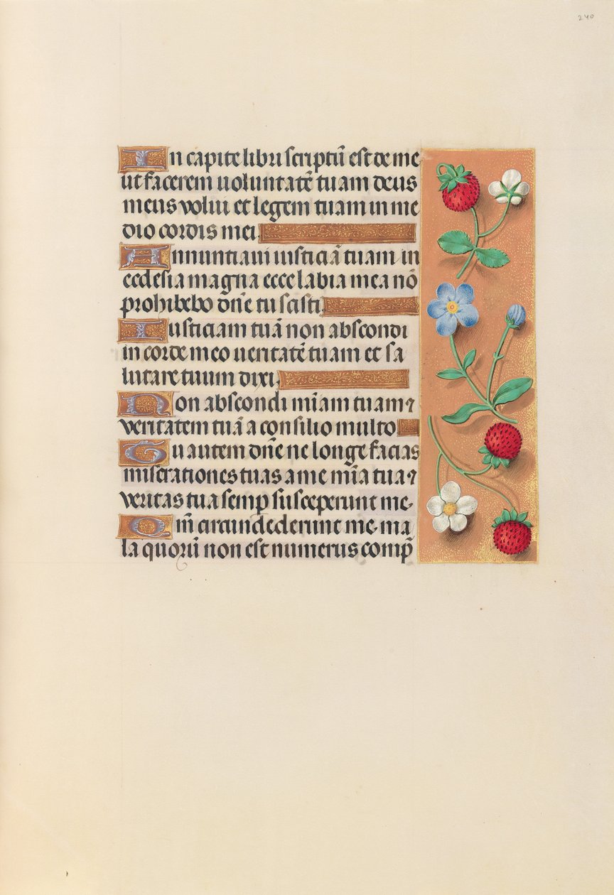  av Master of the First Prayerbook of Maximillian