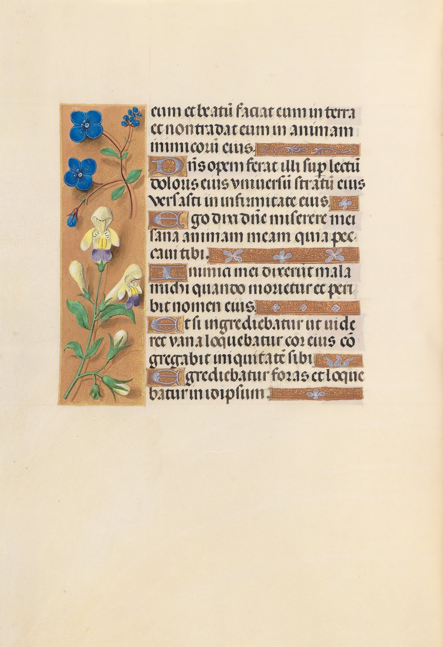 Hours of Queen Isabella the Catholic, Queen of Spain: Fol. 241v, ca. 1500. av Master of the First Prayerbook of Maximillian