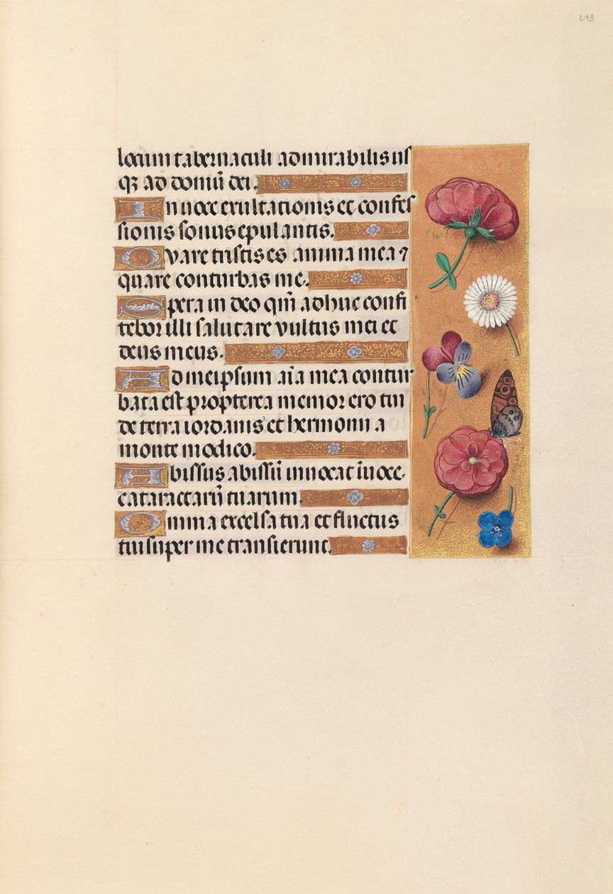 Hours of Queen Isabella the Catholic, Queen of Spain: Fol. 243r, ca. 1500. av Master of the First Prayerbook of Maximillian