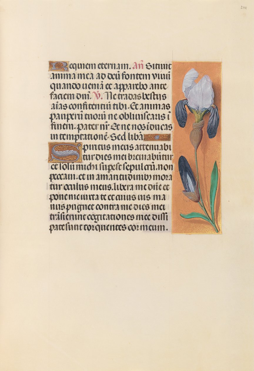 Hours of Queen Isabella the Catholic, Queen of Spain: Fol. 244r, ca. 1500. av Master of the First Prayerbook of Maximillian