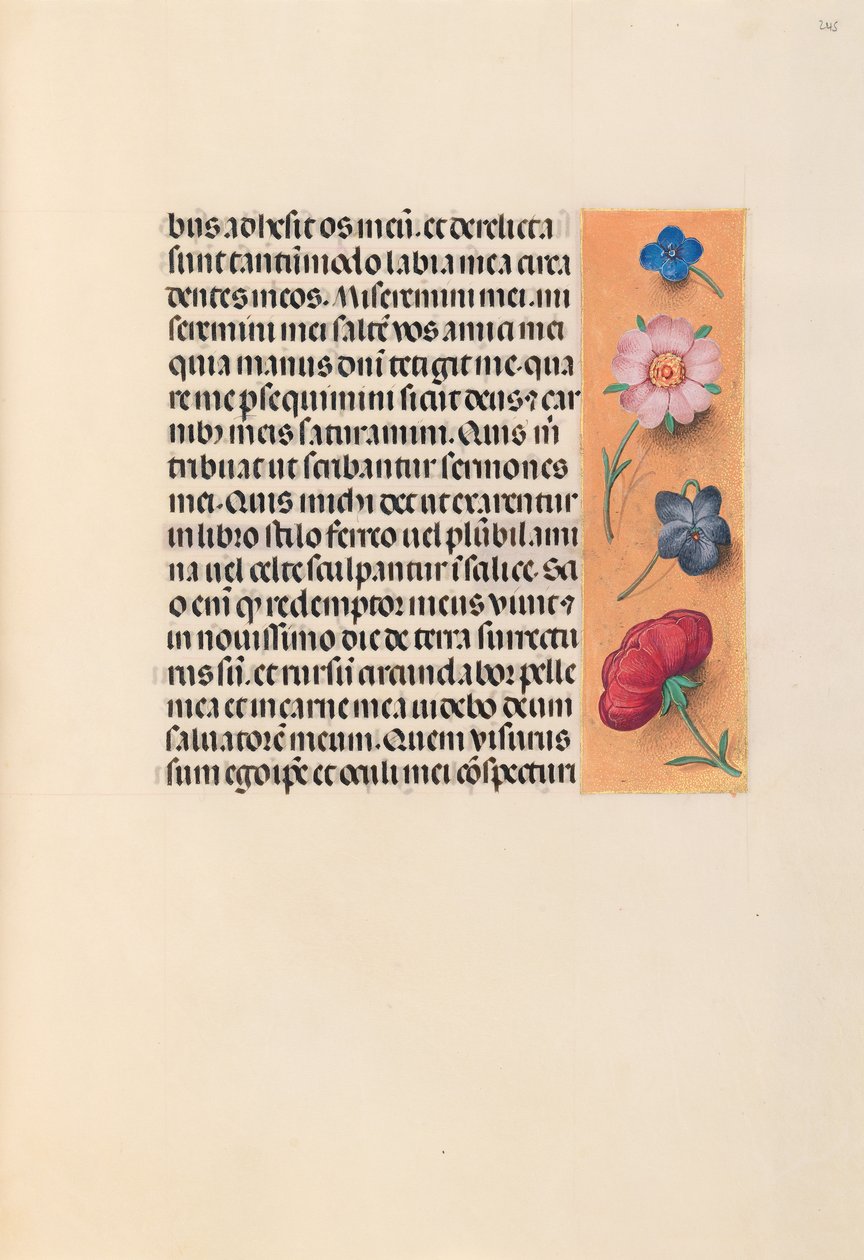 Hours of Queen Isabella the Catholic, Queen of Spain: Fol. 245r, ca. 1500. av Master of the First Prayerbook of Maximillian