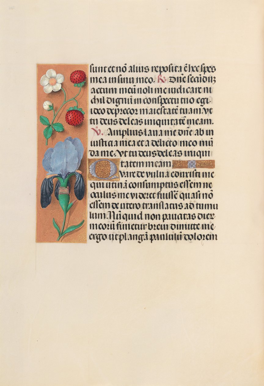 Hours of Queen Isabella the Catholic, Queen of Spain: Fol. 245v, ca. 1500. av Master of the First Prayerbook of Maximillian
