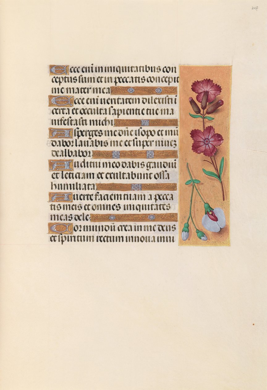 Hours of Queen Isabella the Catholic, Queen of Spain: Fol. 247r, ca. 1500. av Master of the First Prayerbook of Maximillian