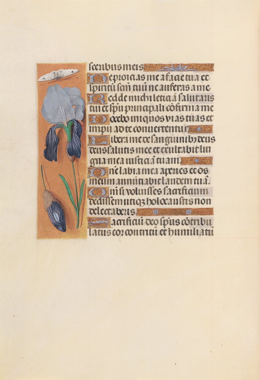 Hours of Queen Isabella the Catholic, Queen of Spain: Fol. 247v, ca. 1500. av Master of the First Prayerbook of Maximillian