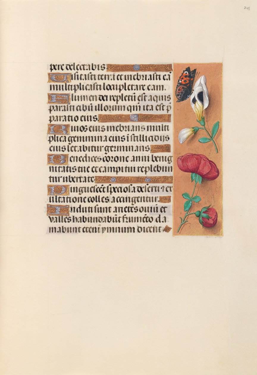  av Master of the First Prayerbook of Maximillian