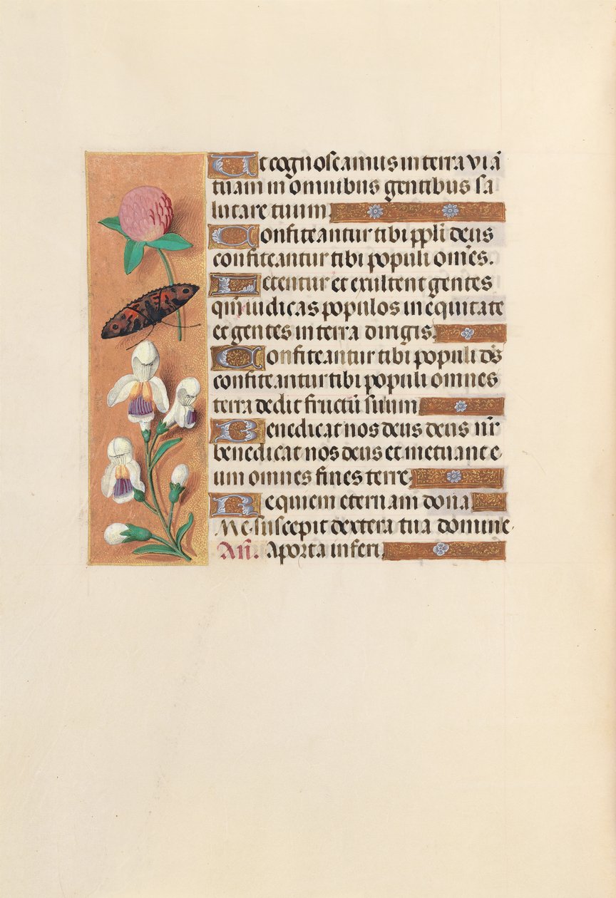 Hours of Queen Isabella the Catholic, Queen of Spain: Fol. 250v, ca. 1500. av Master of the First Prayerbook of Maximillian