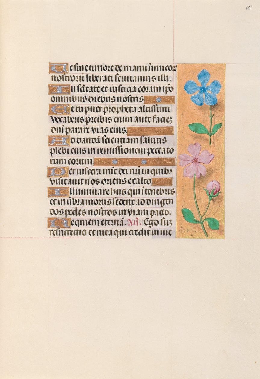 Hours of Queen Isabella the Catholic, Queen of Spain: Fol. 255r, ca. 1500. av Master of the First Prayerbook of Maximillian