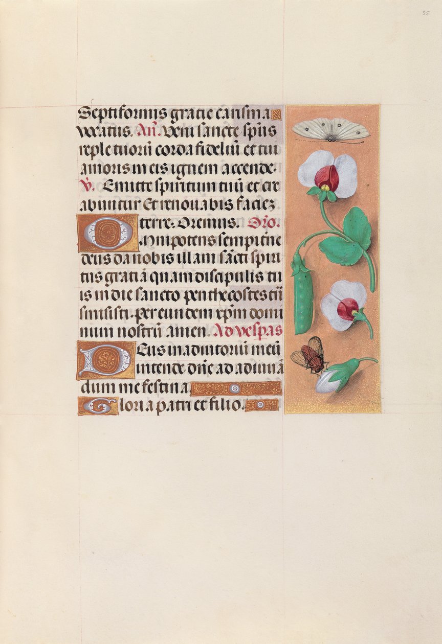 Hours of Queen Isabella the Catholic, Queen of Spain: Fol. 35r, c. 1500. av Master of the First Prayerbook of Maximillian