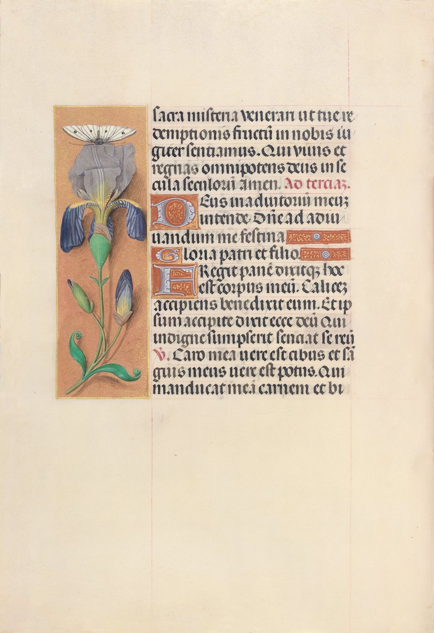 Hours of Queen Isabella the Catholic, Queen of Spain: Fol. 45v, ca. 1500. av Master of the First Prayerbook of Maximillian
