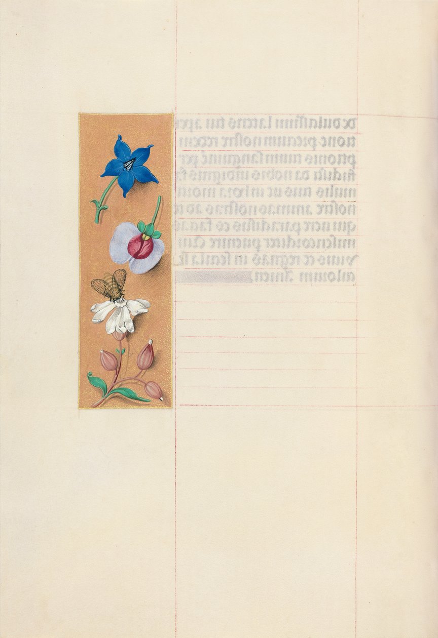 Hours of Queen Isabella the Catholic, Queen of Spain: Fol. 71v, ca. 1500. av Master of the First Prayerbook of Maximillian