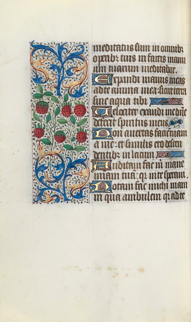 Timebok Bruk av Rouen: fol. 91v, c. 1470. av Master of the Geneva Latini