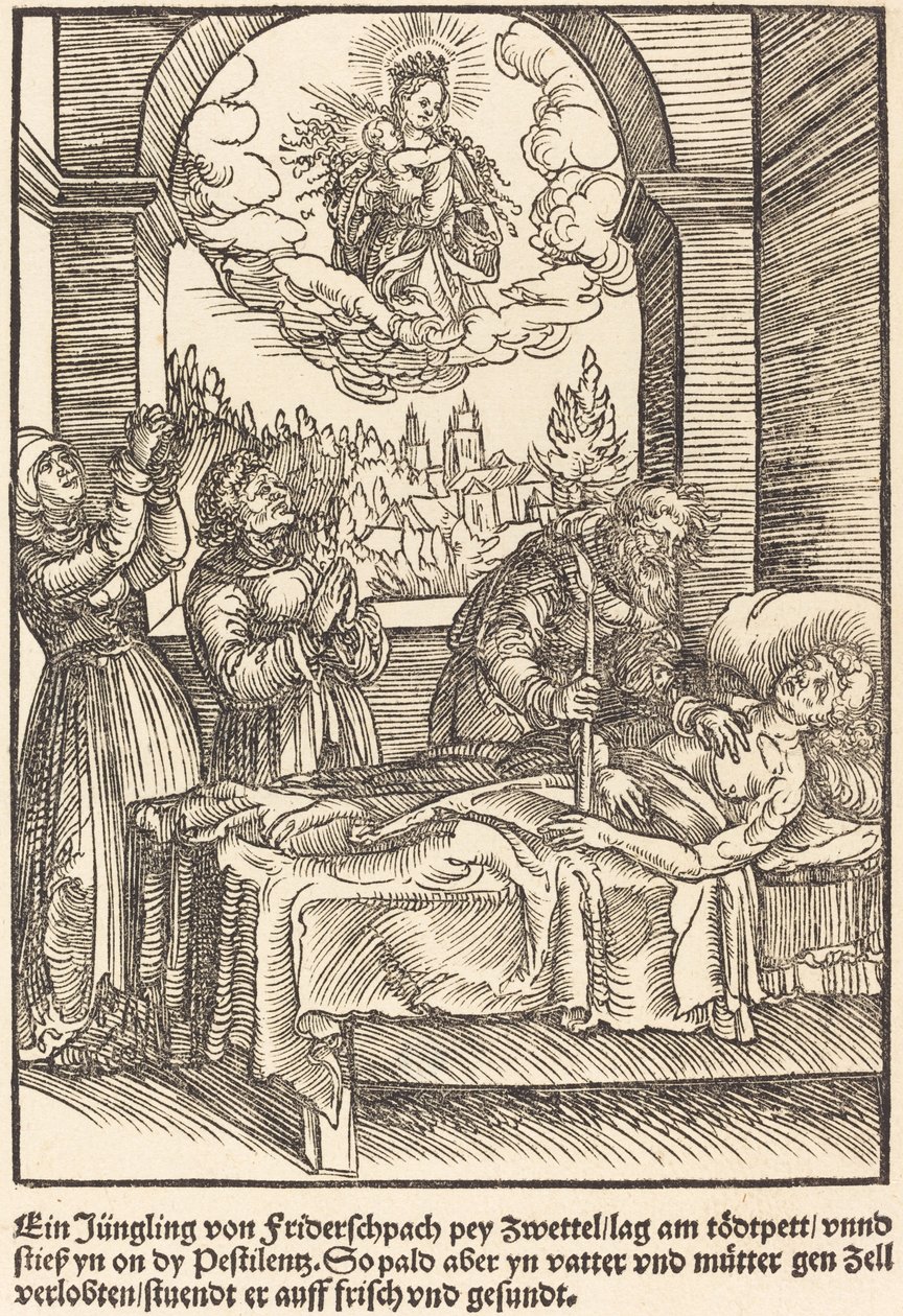 En unge av Friderschpach... av Master of the Miracles of Mariazell