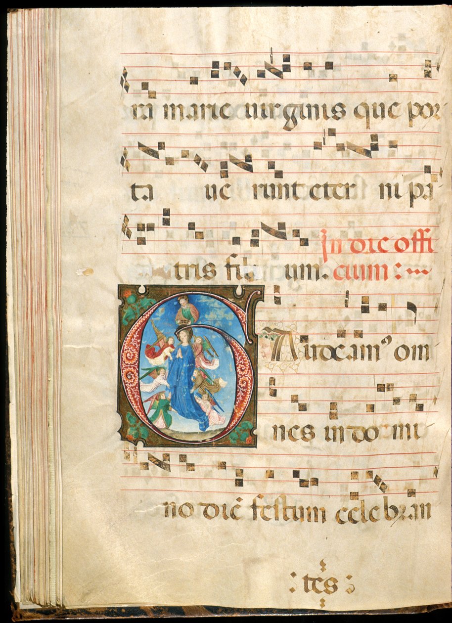 Jomfruens antagelse, f.72v fra et gradvis sent 1400-tall (blekk, tempera og bladgull på pergament) av Master of the Saluces Hours (attr. to)