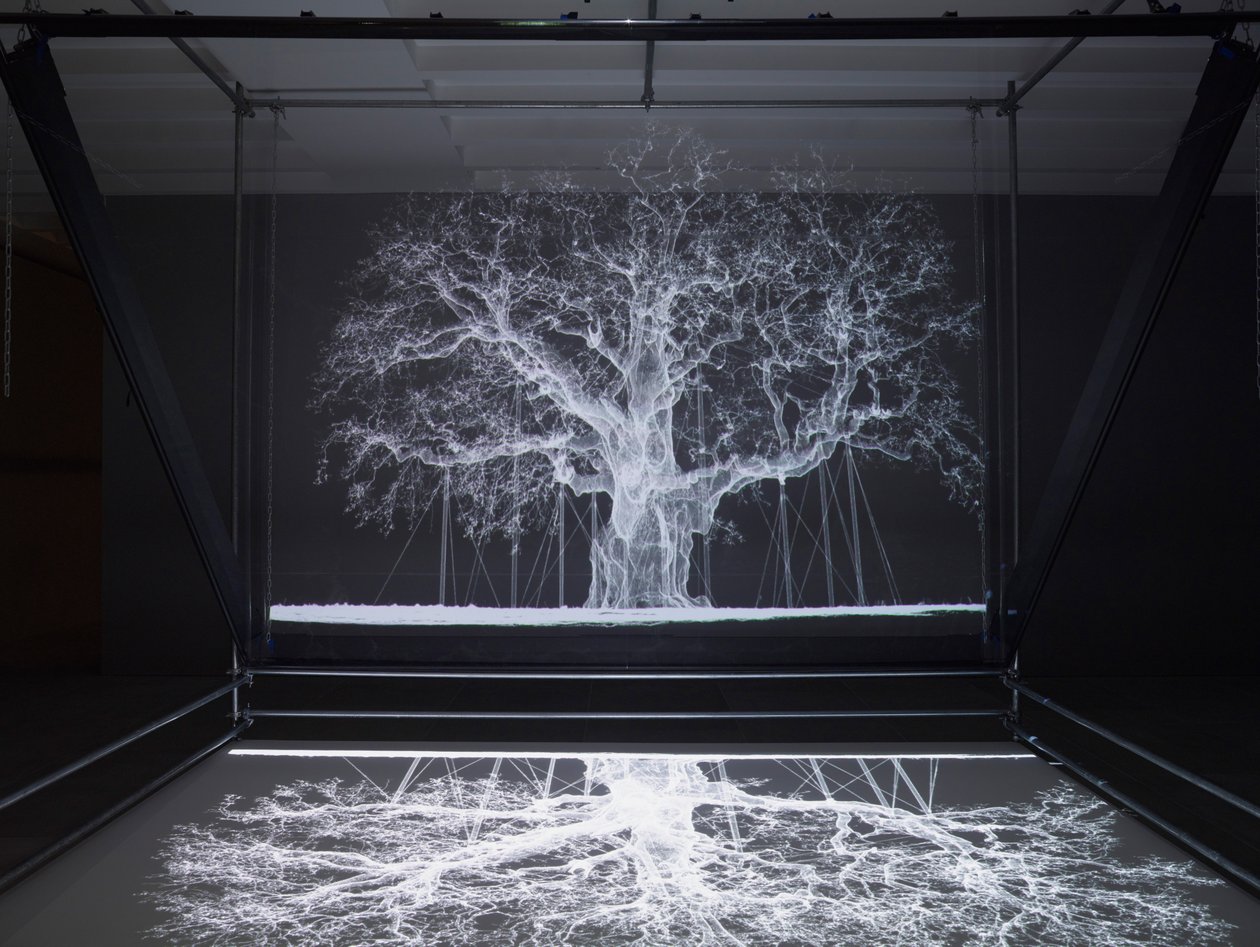 Albion, 2017 (projektor, mediespiller, stillasrigg, gjennomsiktig film, tre, maling, speil, strekkutstyr) av Mat Collishaw